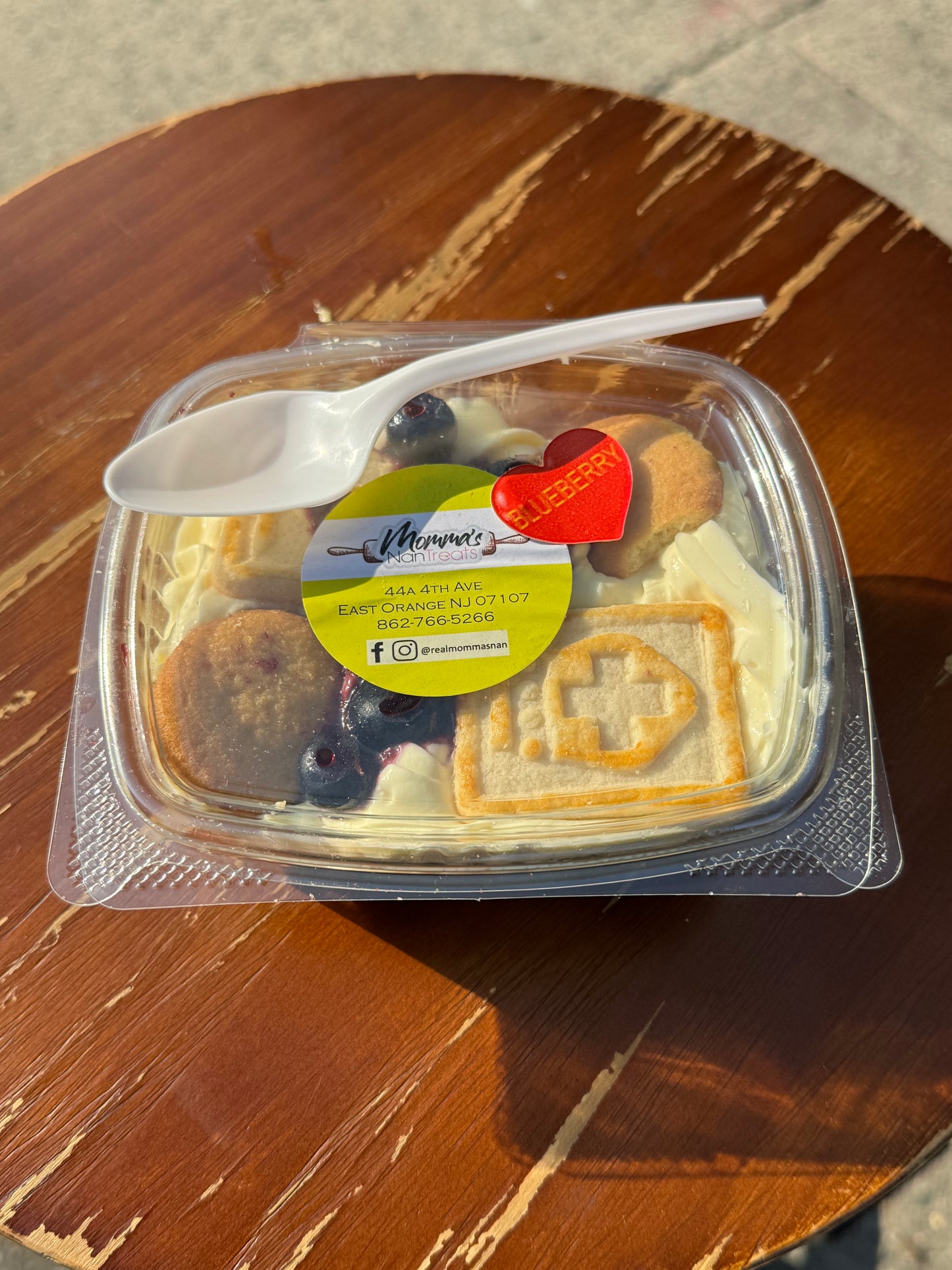 Blueberry Nans Pudding